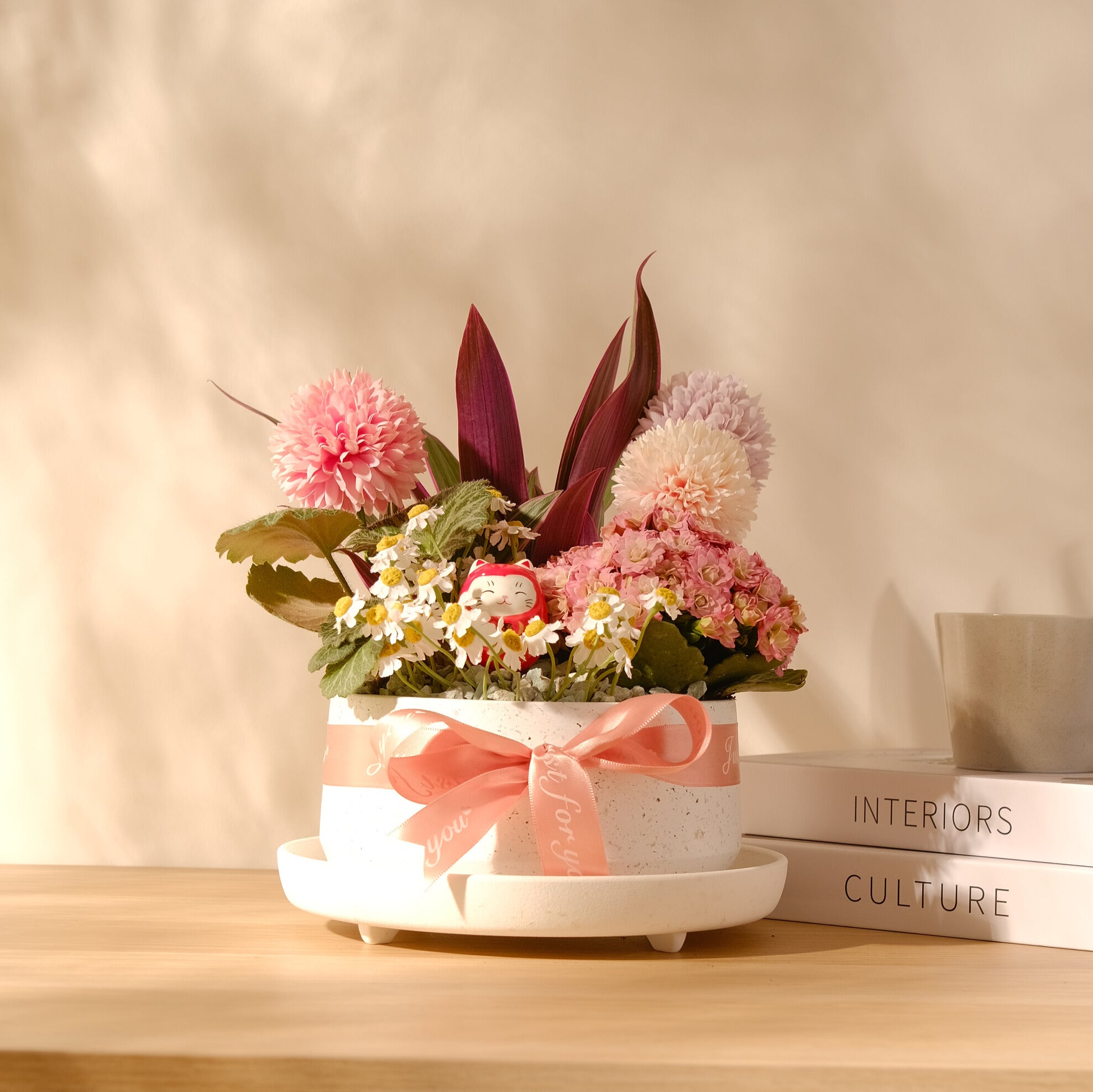 幸福小花園粉色植栽盆景,搭配招財貓與粉色緞帶,放置於有陽光的木桌上