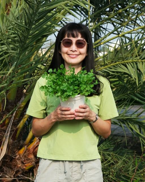 健康、好吃的無農藥香菜