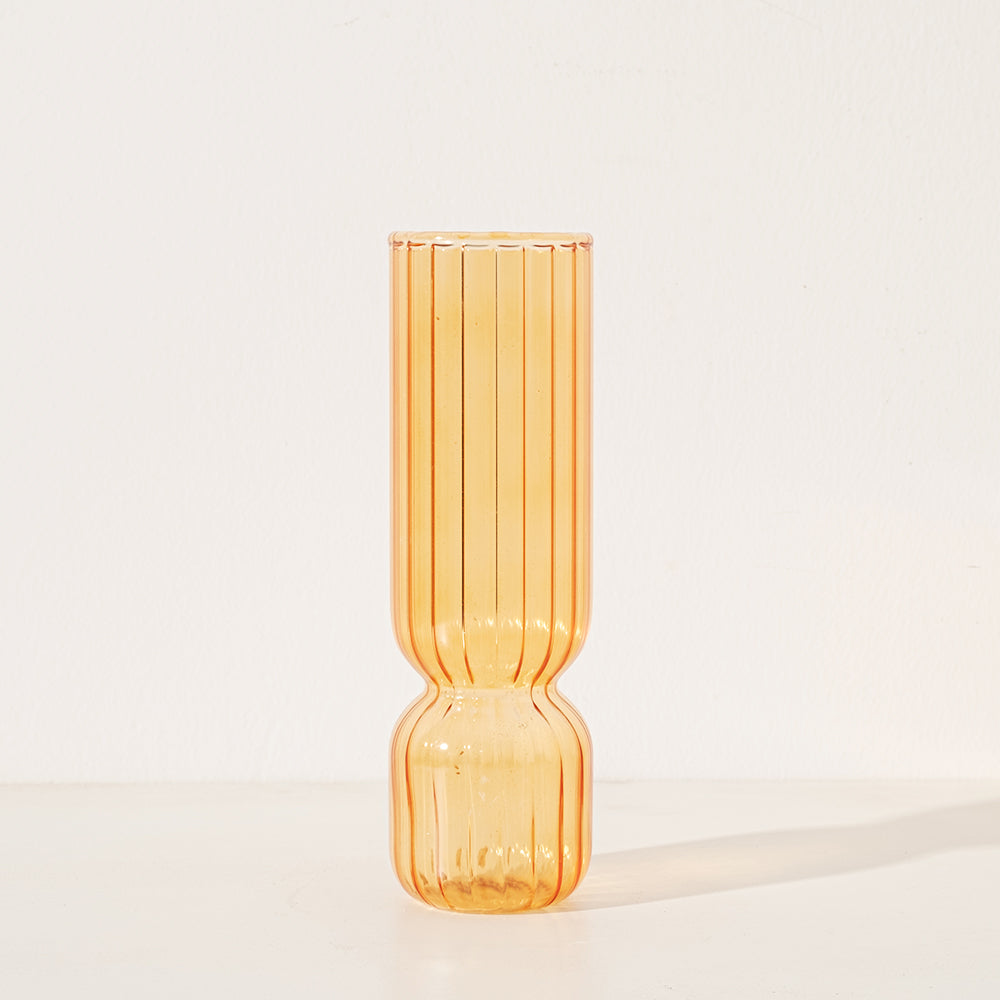 金邊吊蘭盆栽 | 空氣淨化、寵物友善 | 森林有塊田