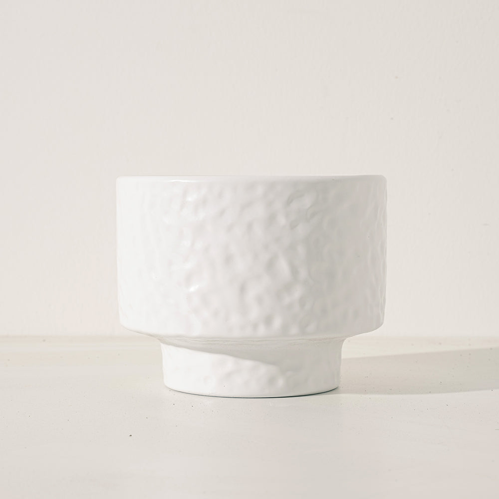 史迪奇多肉盆栽(附彩色陶粒)