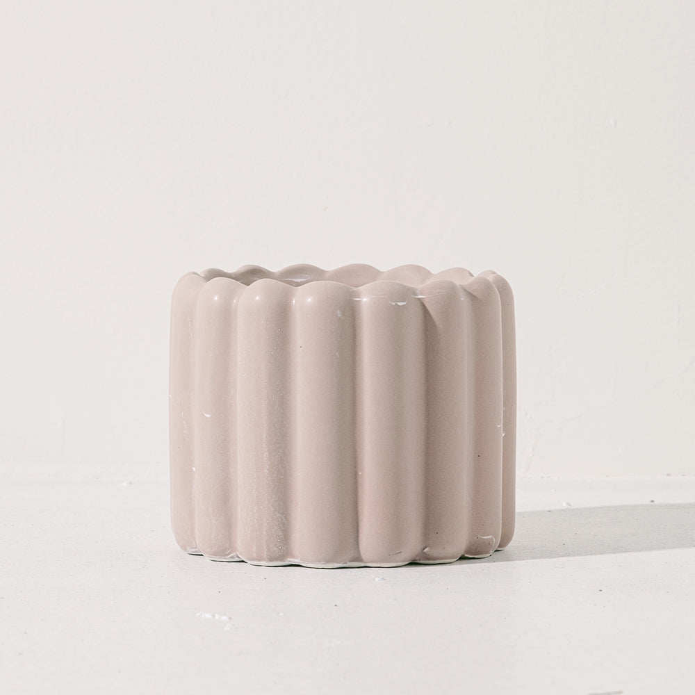 史迪奇多肉盆栽(附彩色陶粒)