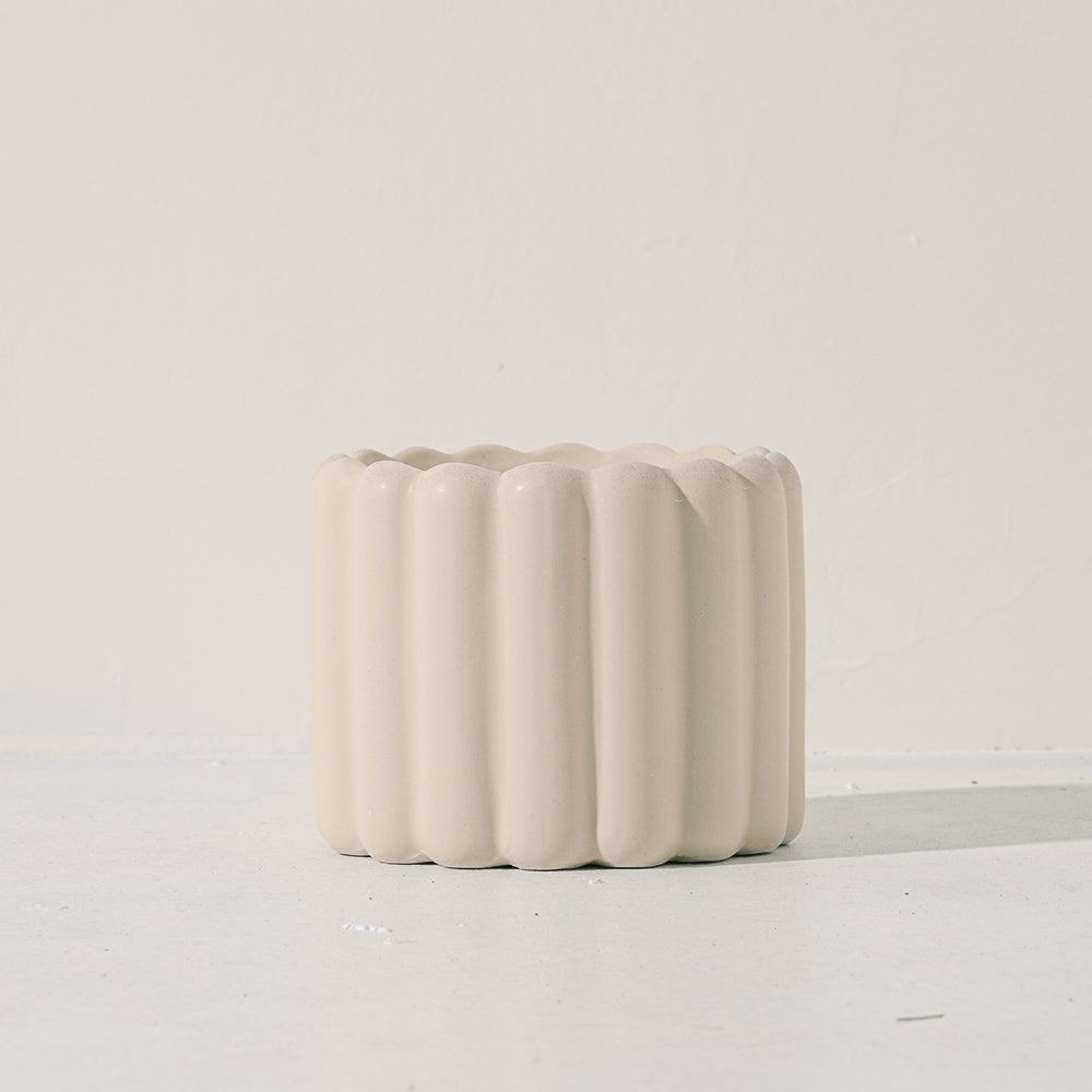 蘋果薄荷 | 青蘋果的香氣 | 泡茶 | 飲料 | 土耕 | 陽光植物