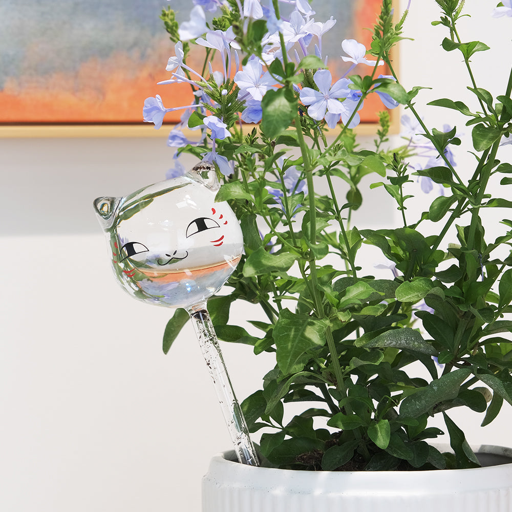 可愛喵喵自動澆水玻璃壺 | 自動澆花神器 | 出國免煩惱 | 耐熱玻璃製作