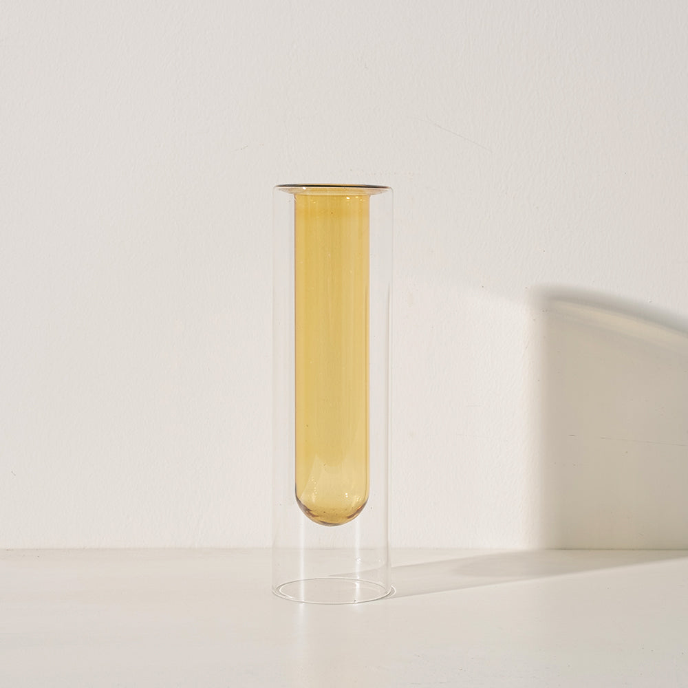 金邊吊蘭盆栽 | 空氣淨化、寵物友善 | 森林有塊田