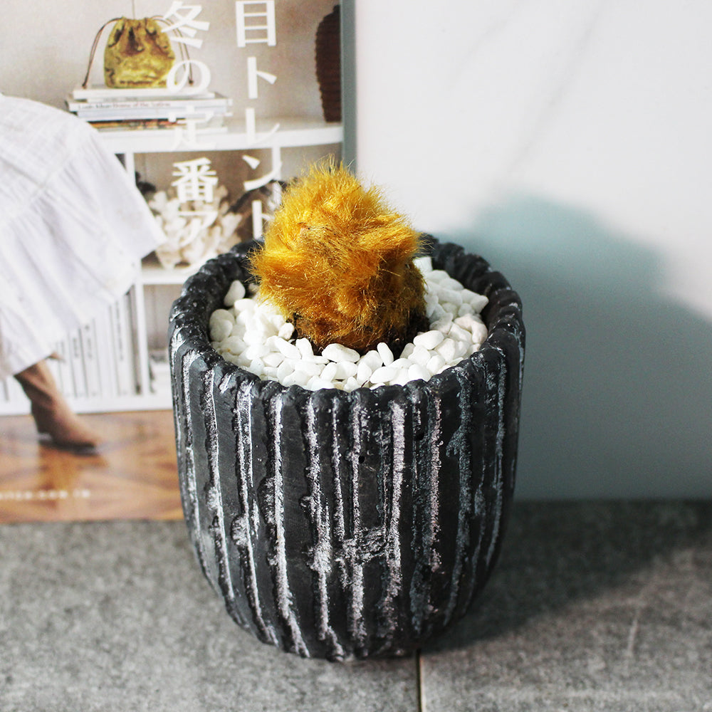 金狗毛蕨 | 蕨類植物 | 觸感像黃金獵犬 | 台灣特有種 | 室內植物