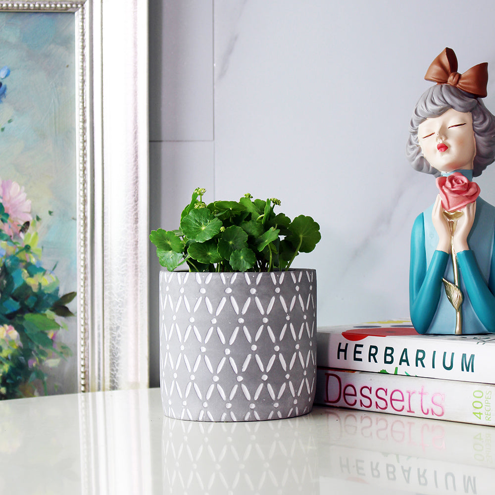 圓幣草 | 銅錢草 | 水陸生植物 | 陽光植物