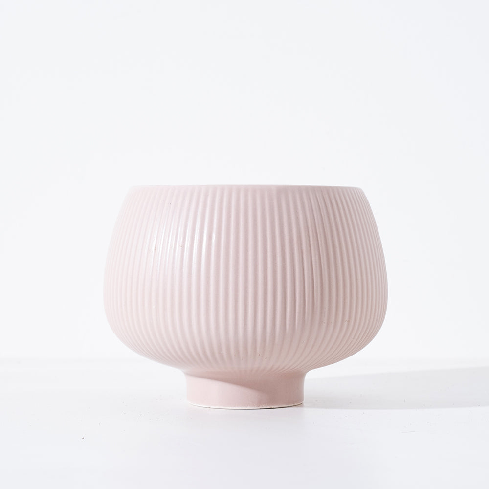 瑞士薄荷 | 回甘薄荷 | 陽光植物