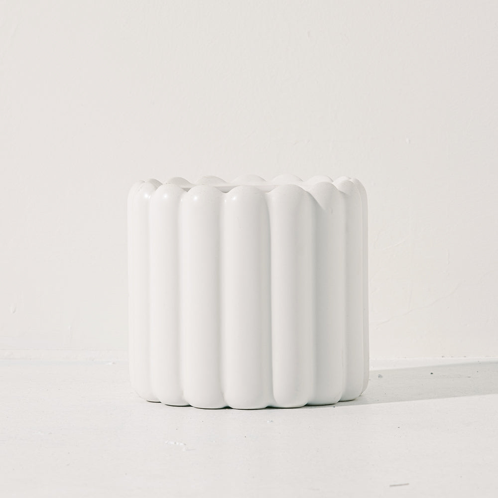 日本芙蓉盆栽 | 獨特造型與吉祥風水 | 森林有塊田