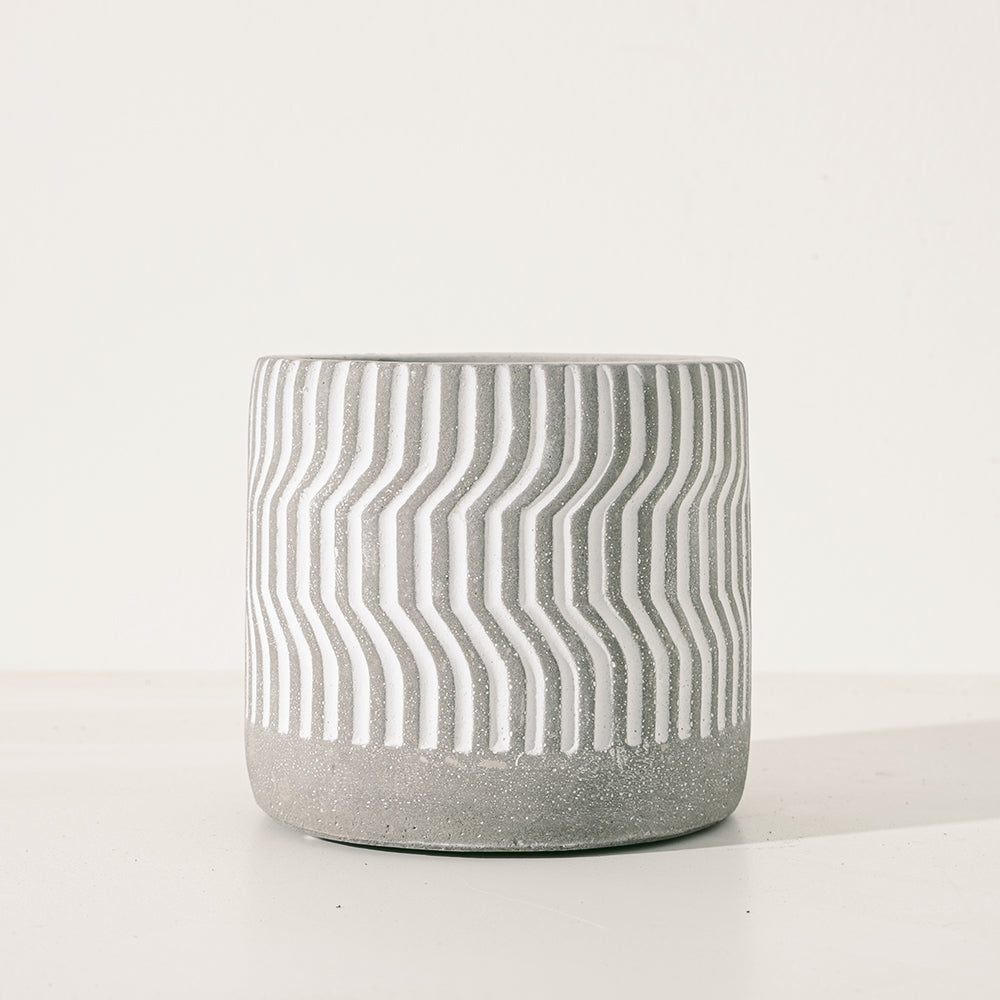 康復力 | 陽光植物