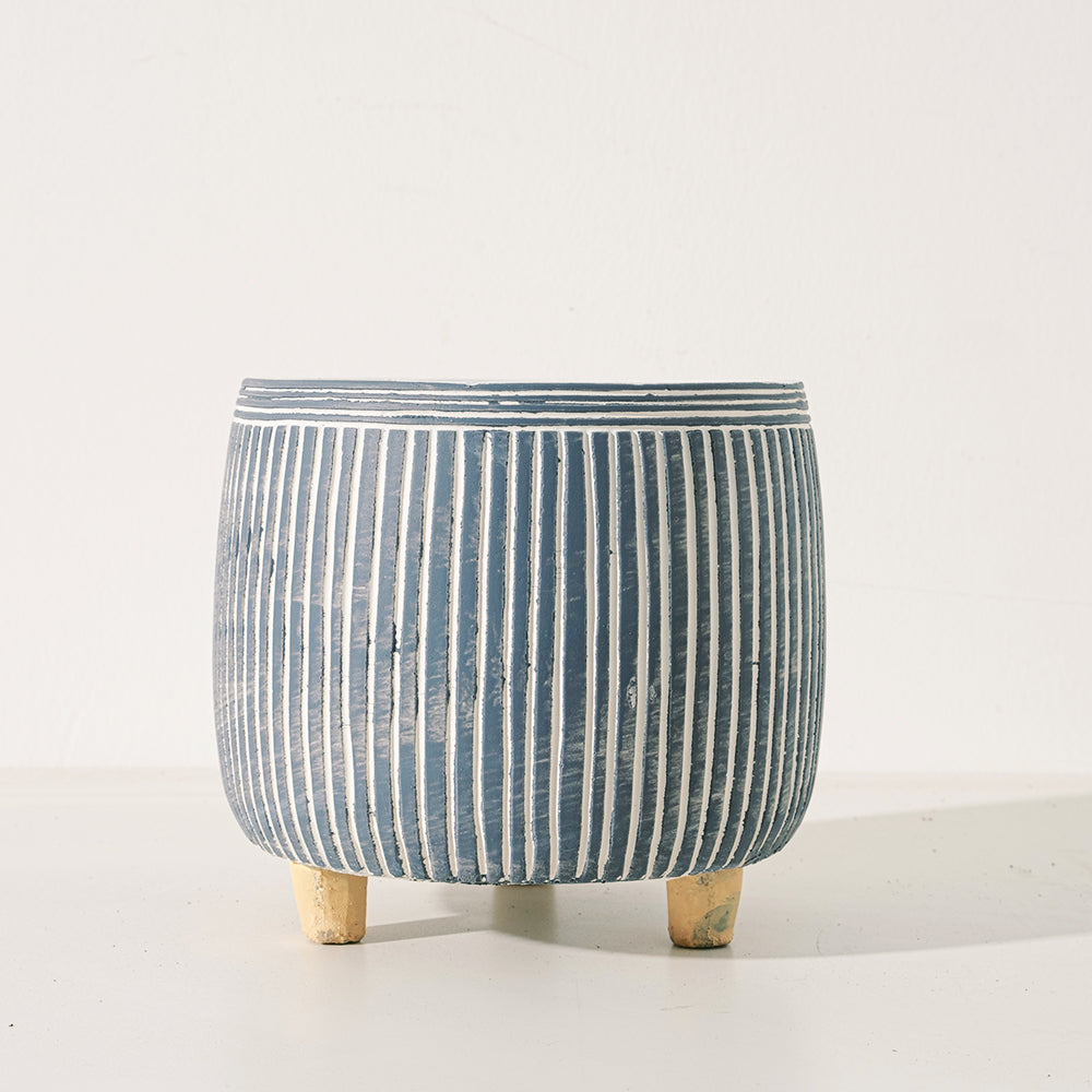 捲葉羽衣甘藍 | 營養滿分 | 陽光植物