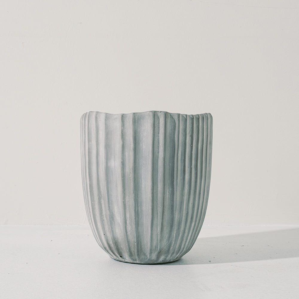 柳薄荷 | 神香草 | 海索草 | 食用花 | 陽光植物