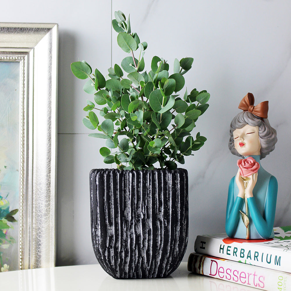 藍冰尤加利 | 藍冰桉 | 陽光植物