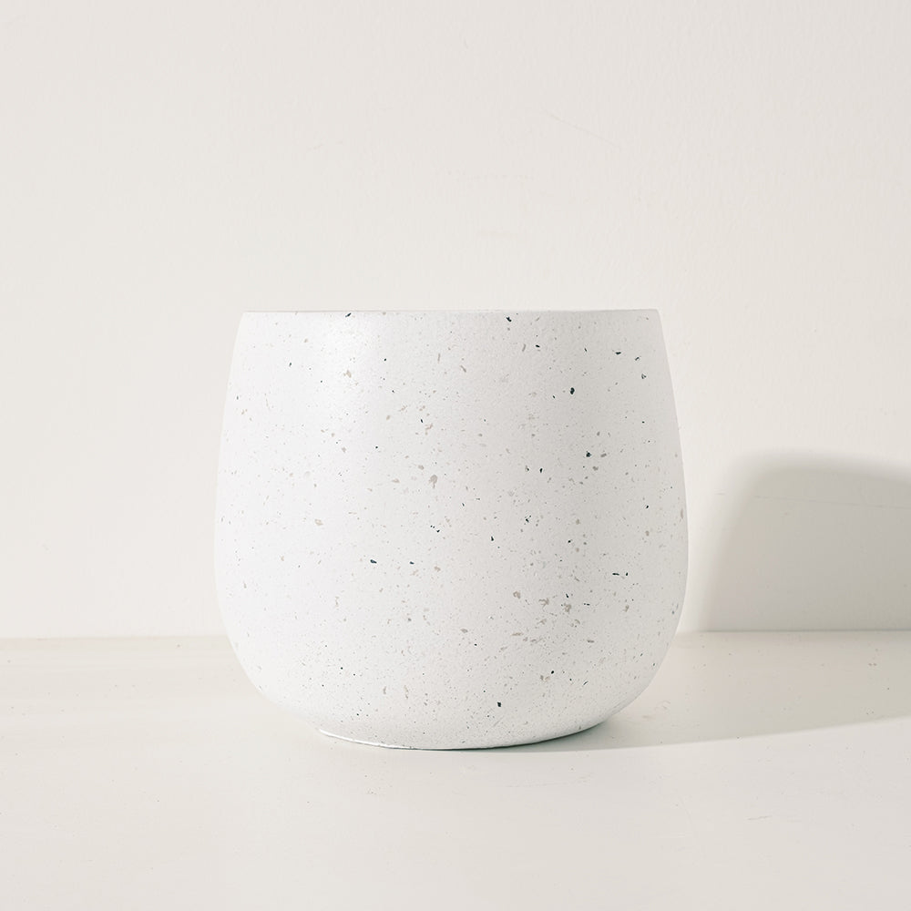 金盞花 | 金盞菊 | 開花中 | 可做浸泡油 | 花和葉都可以食用 | 食用花 | 花色隨機出貨 | 陽光植物