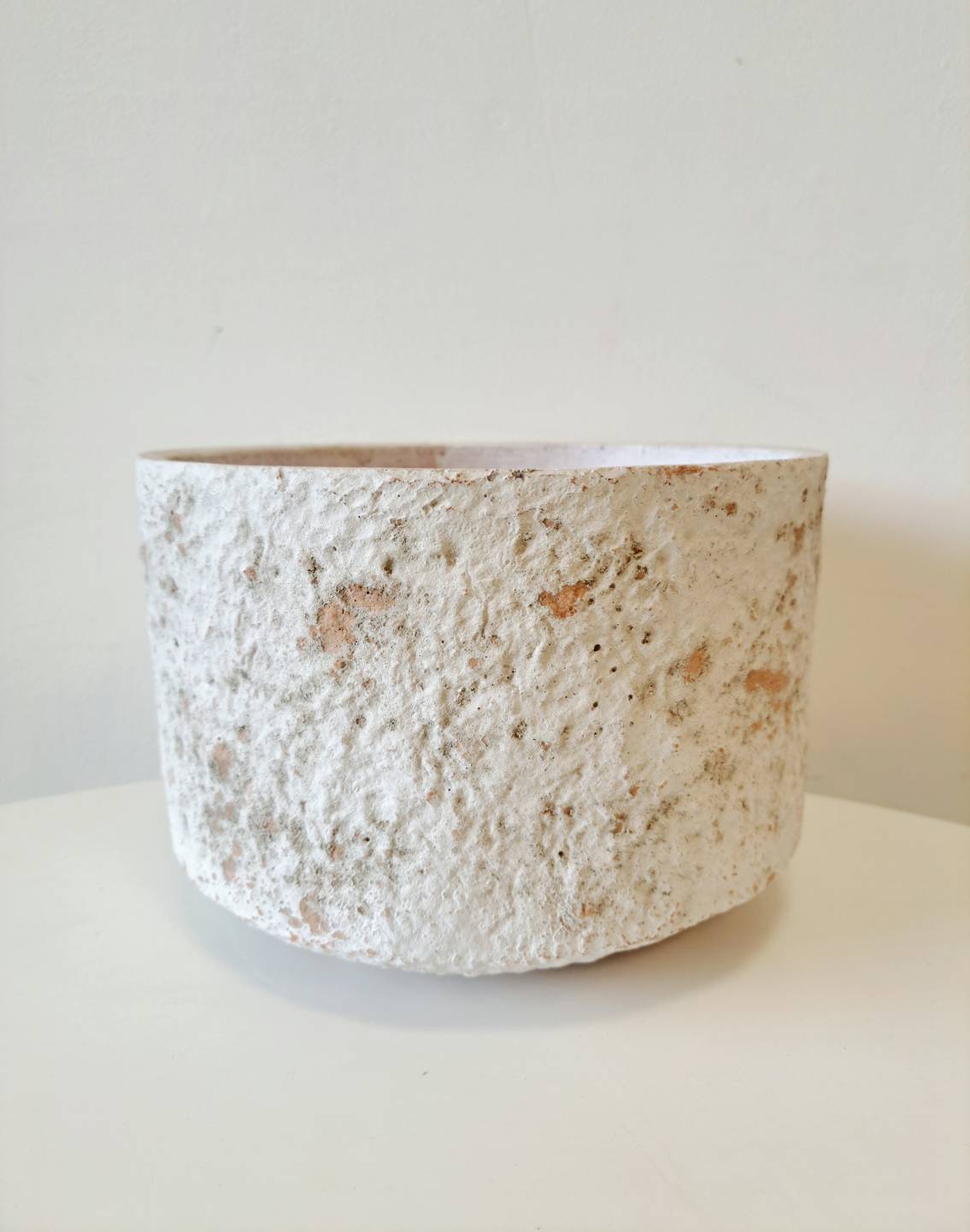 義大利羽衣甘藍 | 營養價值極高 | 陽光植物