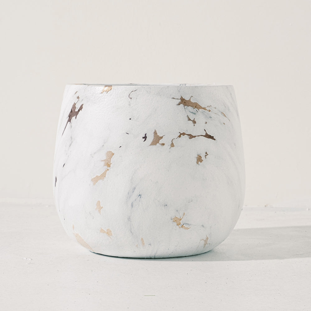 寶寶藍桉 | 寶貝藍桉 | 尤加利 | 陽光植物