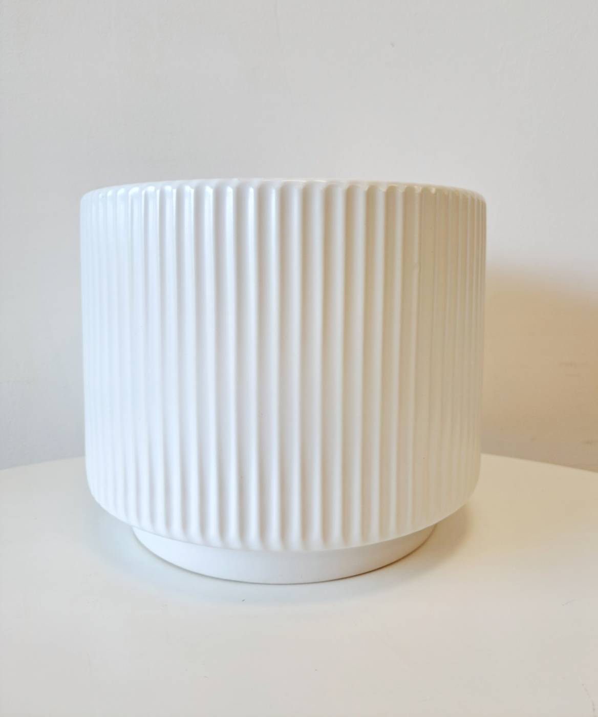 歐洲銀蓮花 | 白頭翁 | 西班牙萬壽菊 | 陽光植物