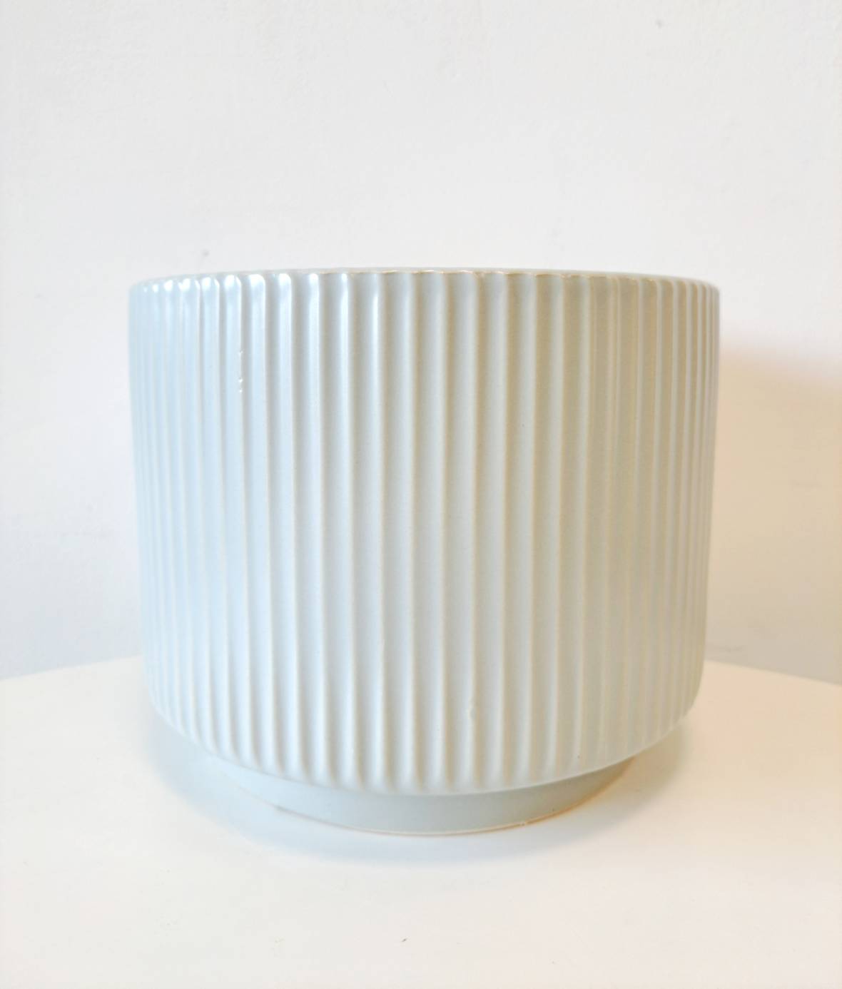 紫蘇 | 紫舒 | 耐強曬 | 陽光植物