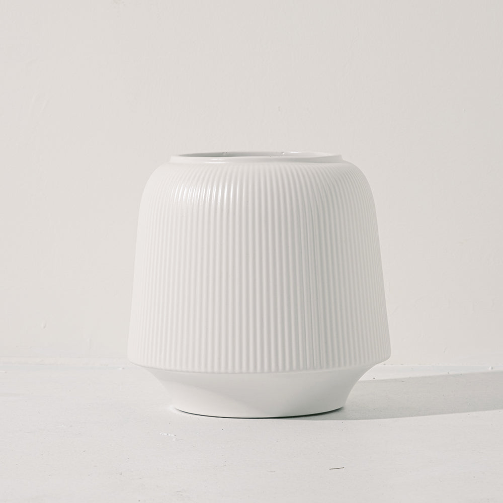 日本大蔥 | 比超市買還划算 | 口感又水又甜 | 可以直接當作火鍋料 | 東京蔥 | 陽光植物