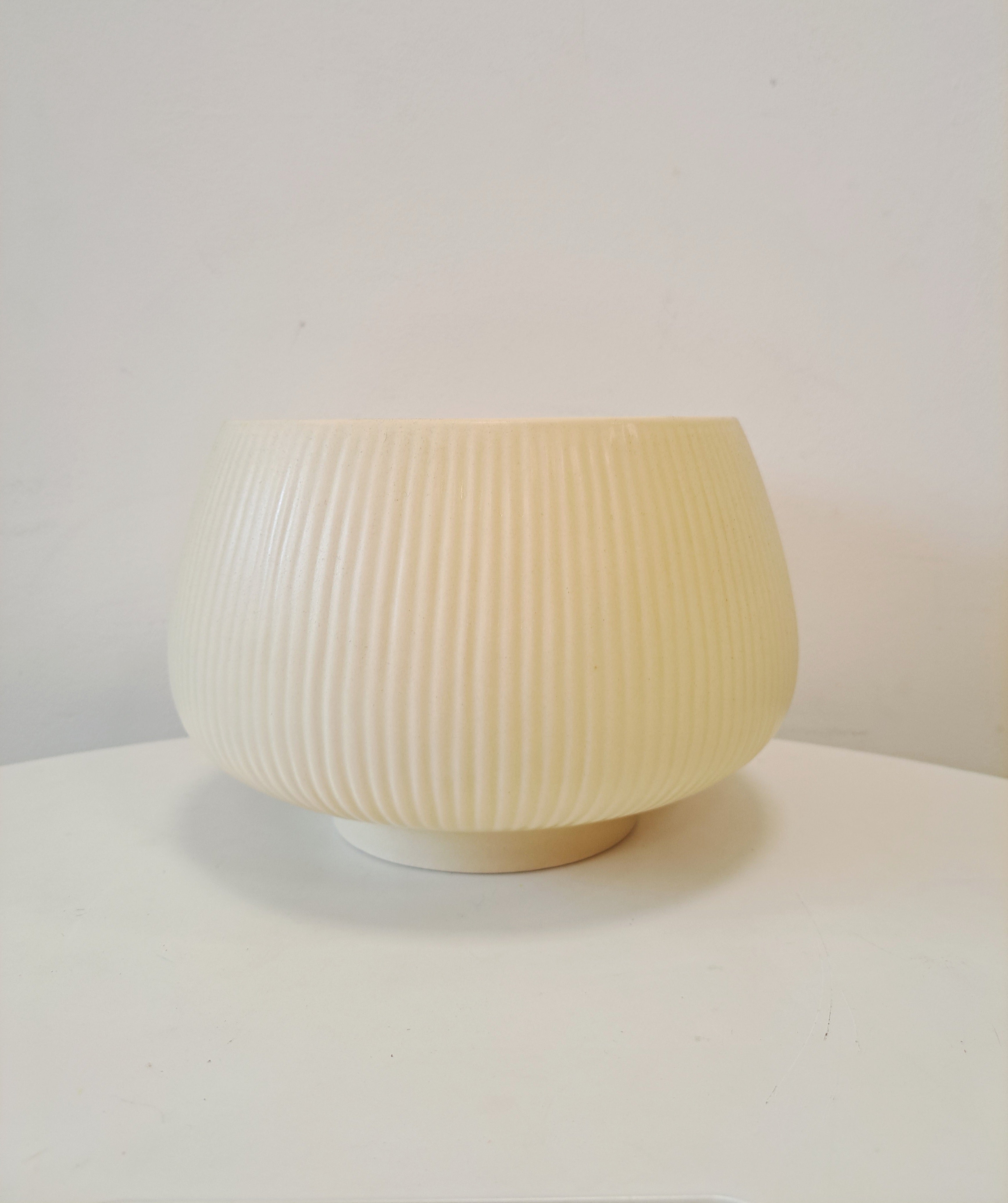 小葉桉 | 稀有的尤加利的品種 | 葉片為橢圓尖狀 | 陽光植物