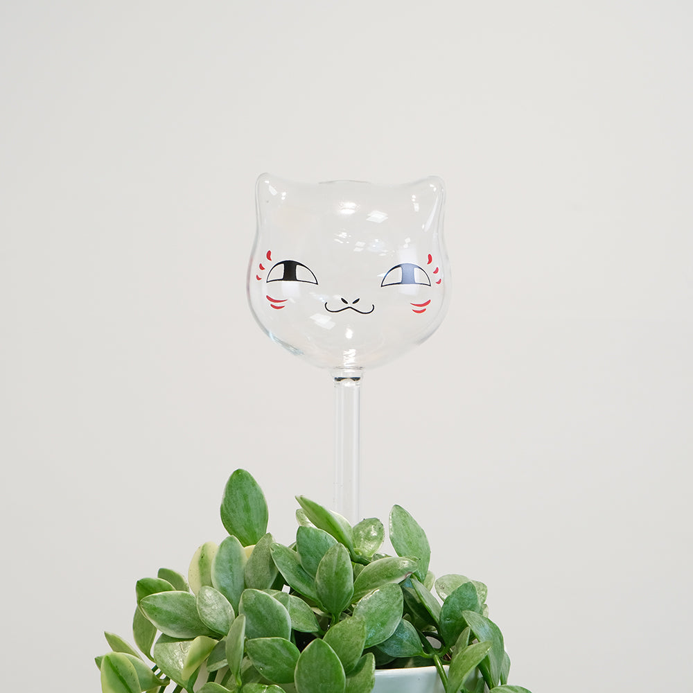 可愛喵喵自動澆水玻璃壺 | 自動澆花神器 | 出國免煩惱 | 耐熱玻璃製作