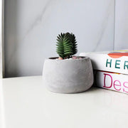 寶卡卡多肉 | 療癒小物 |  陽光植物