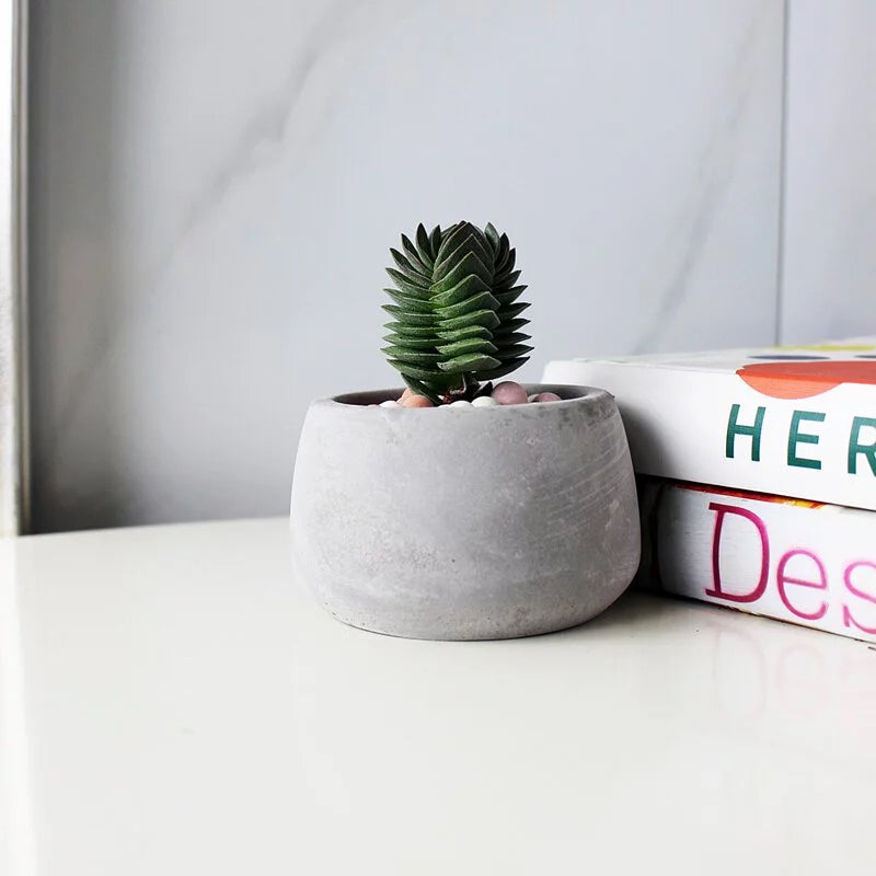 寶卡卡多肉 | 療癒小物 |  陽光植物