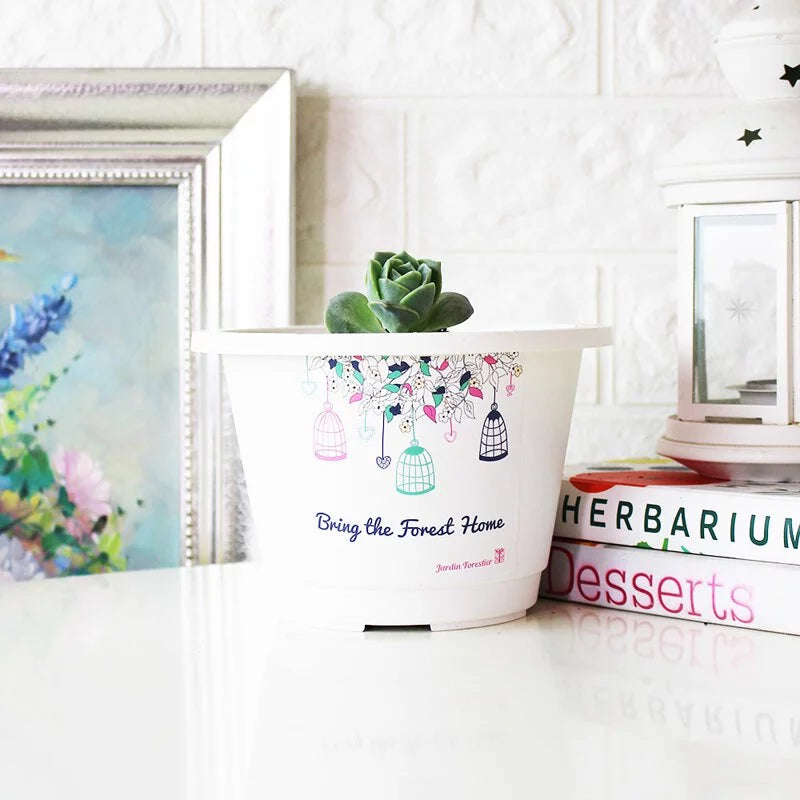 可愛玫瑰盆栽|多肉植物|陽光植物