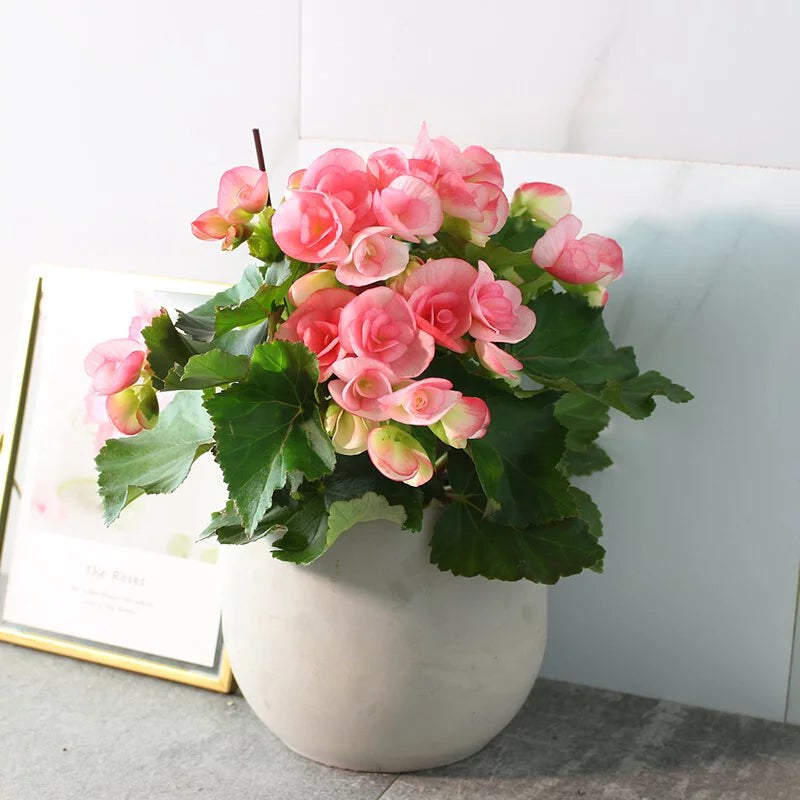 清水模水泥盆 | 百搭的設計 | 自然的清水模色調 | 室內外皆可使用