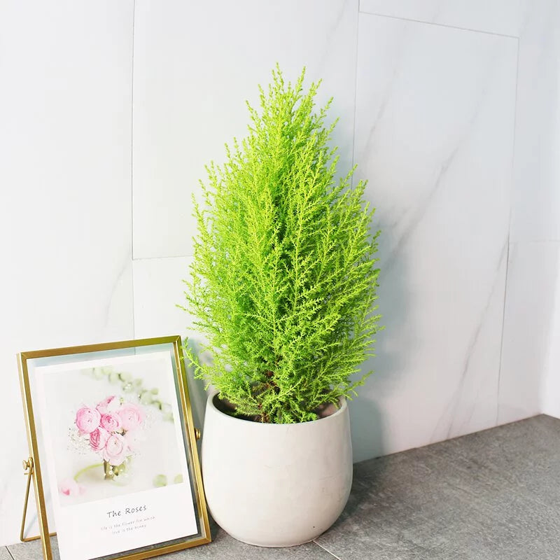 清水模水泥盆 | 百搭的設計 | 自然的清水模色調 | 室內外皆可使用