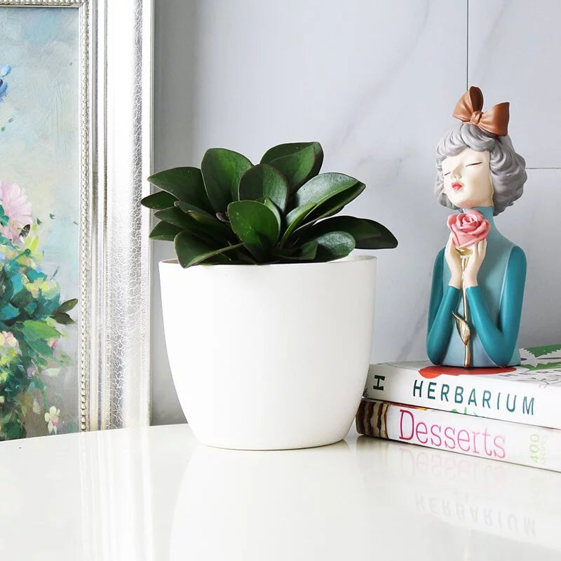 紅娘椒草 | 兒童、 寵物安全 | 移除甲醛 | 水耕 | 無土栽培 | 室內植物