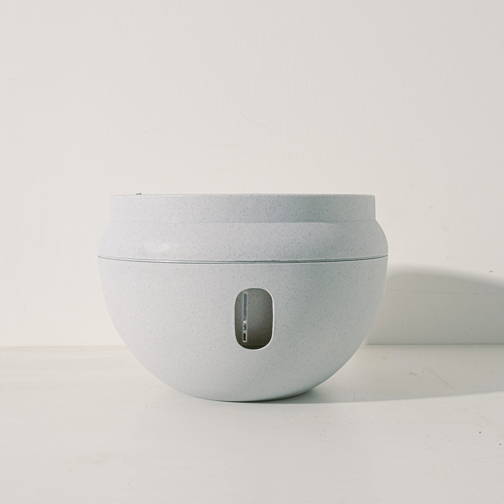 沙漠玫瑰 | 重瓣品種 | 聚財、旺財、招桃花 | 獨家稀有花色 | 森林有塊田