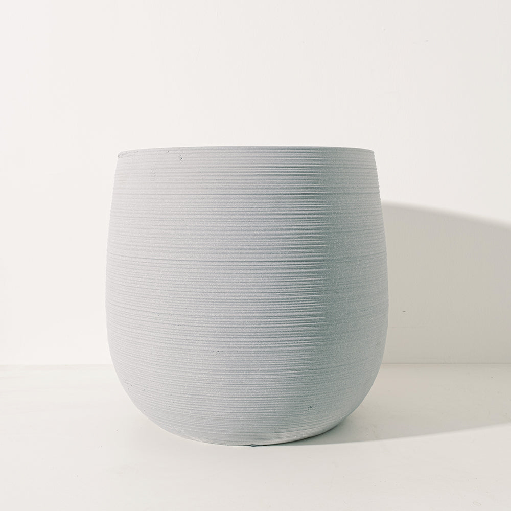 四季檸檬 | 優利卡檸檬 | 汁多香氣濃郁 | 維他命C滿分 | 陽光植物