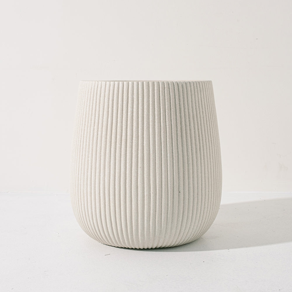 四季檸檬 | 優利卡檸檬 | 汁多香氣濃郁 | 維他命C滿分 | 陽光植物