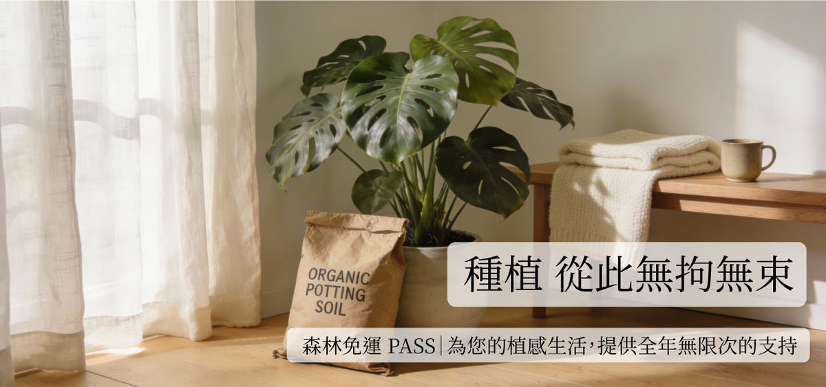 森林有塊田