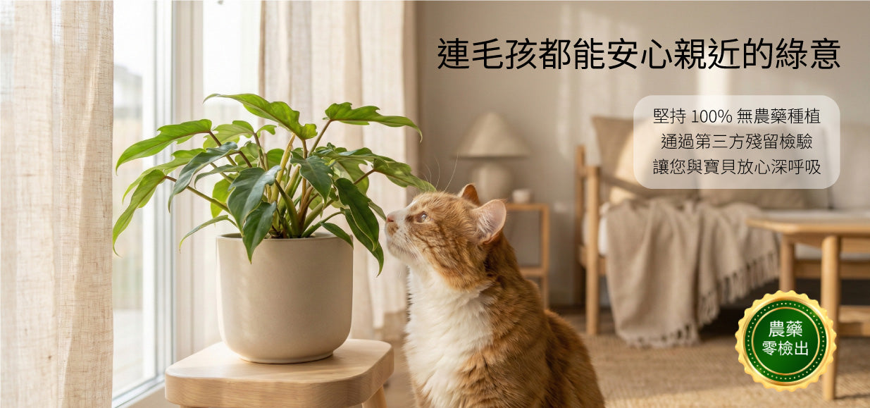 森林有塊田