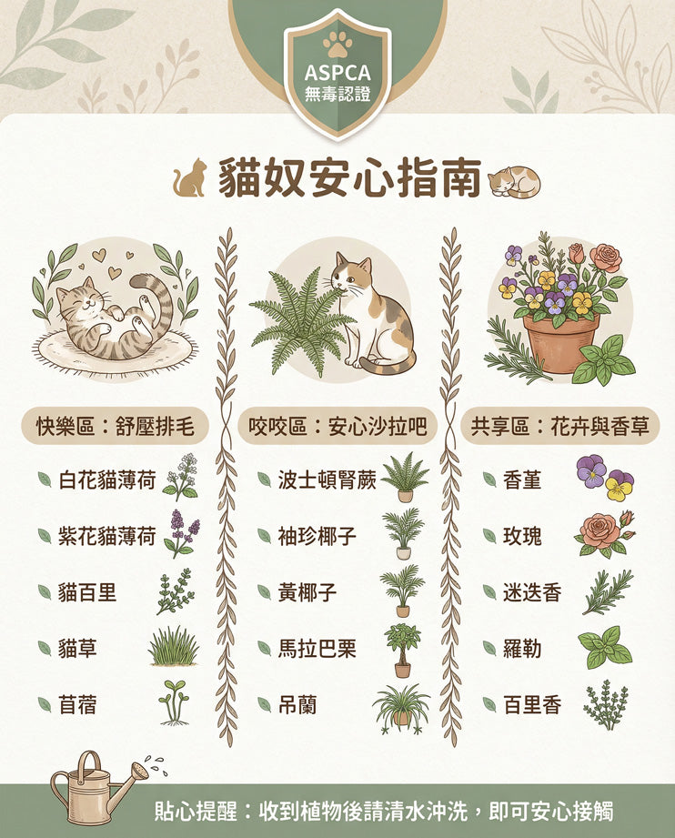 貓奴請進！誰說養貓不能養植物？這份「ASPCA 認證無毒清單」請直接存檔！