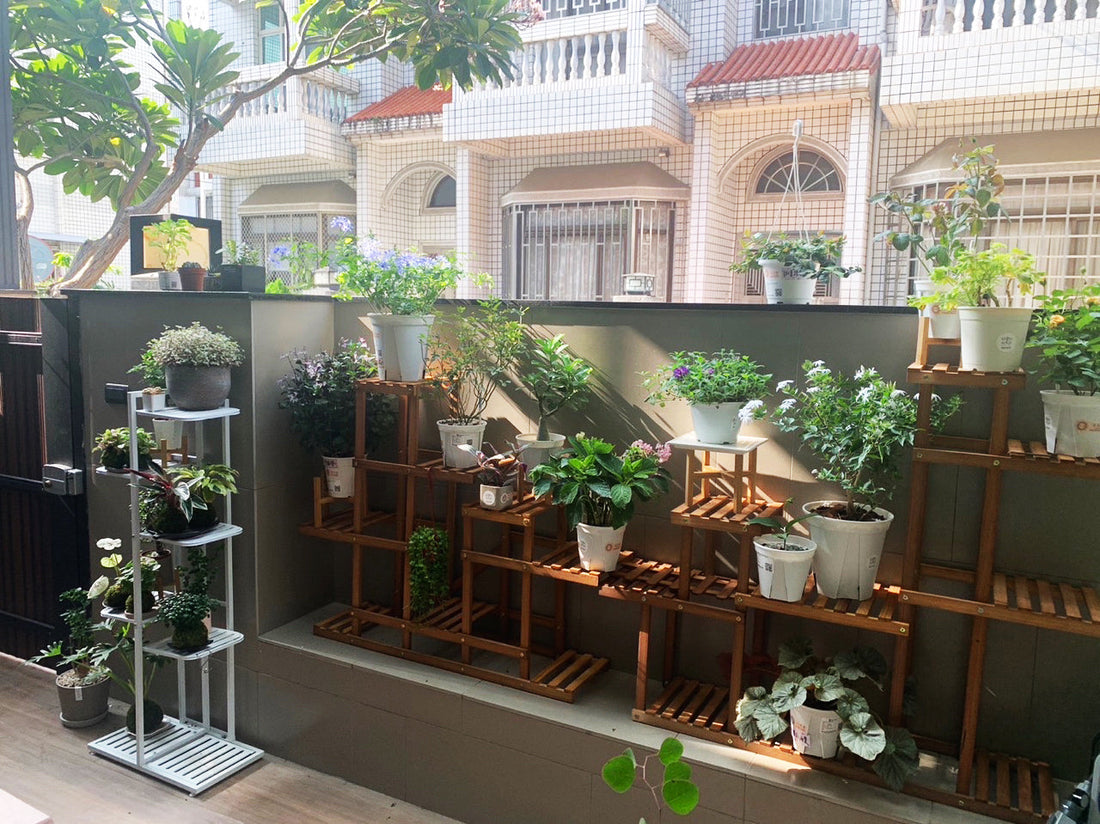 【森友分享】美麗的入口花園