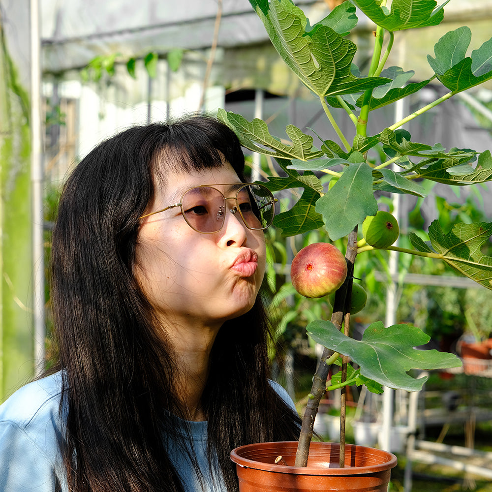小編叫小菲弄一個無花果很好吃的表情，這是???🙄