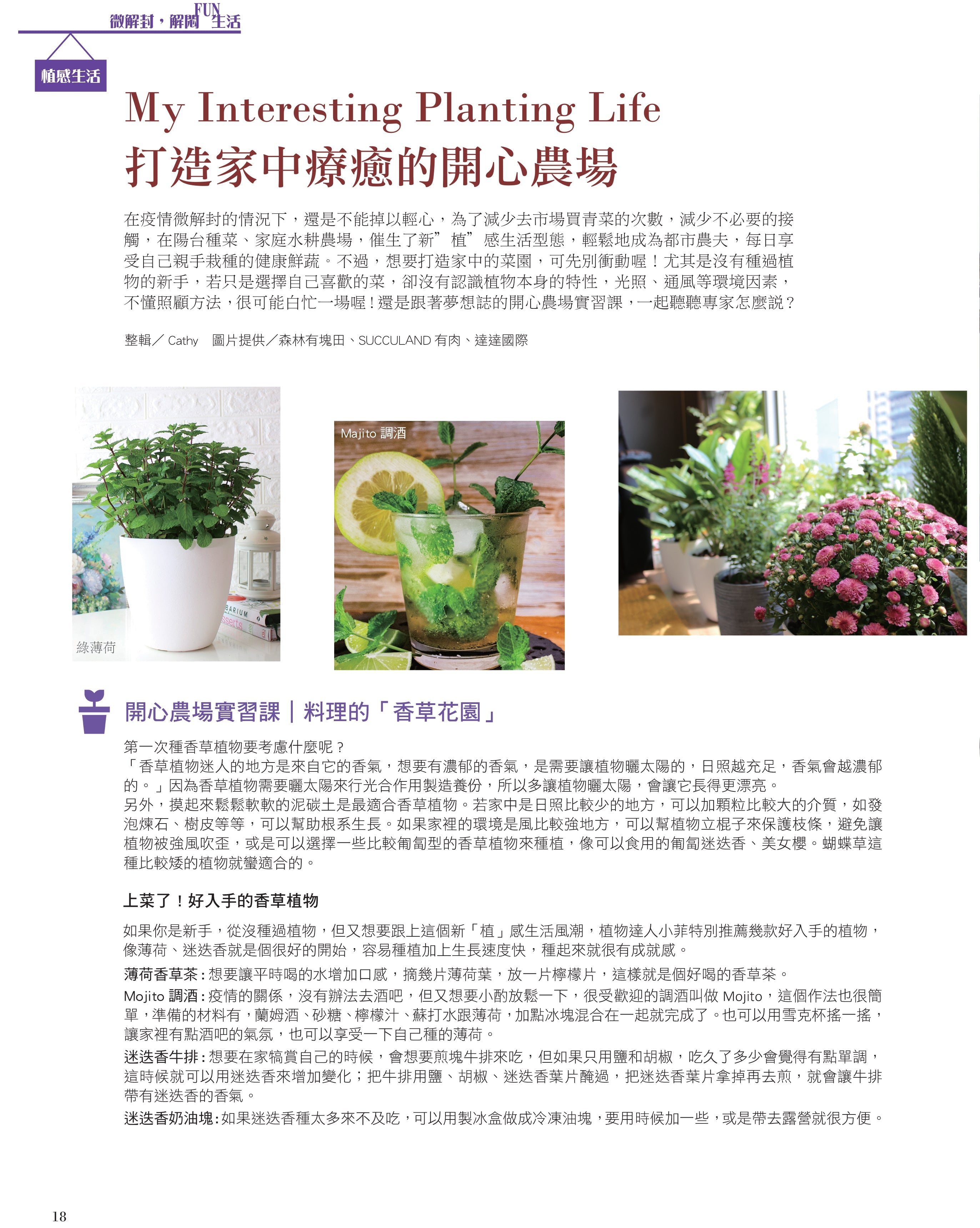 【夢想誌＿採訪】打造家中療癒的開心農場