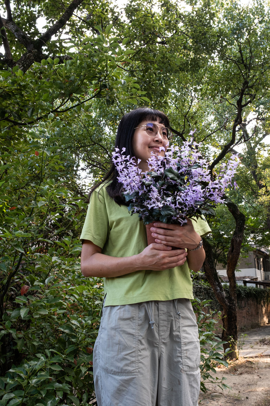 紫鳳凰的修剪 | 夢娜薰衣草