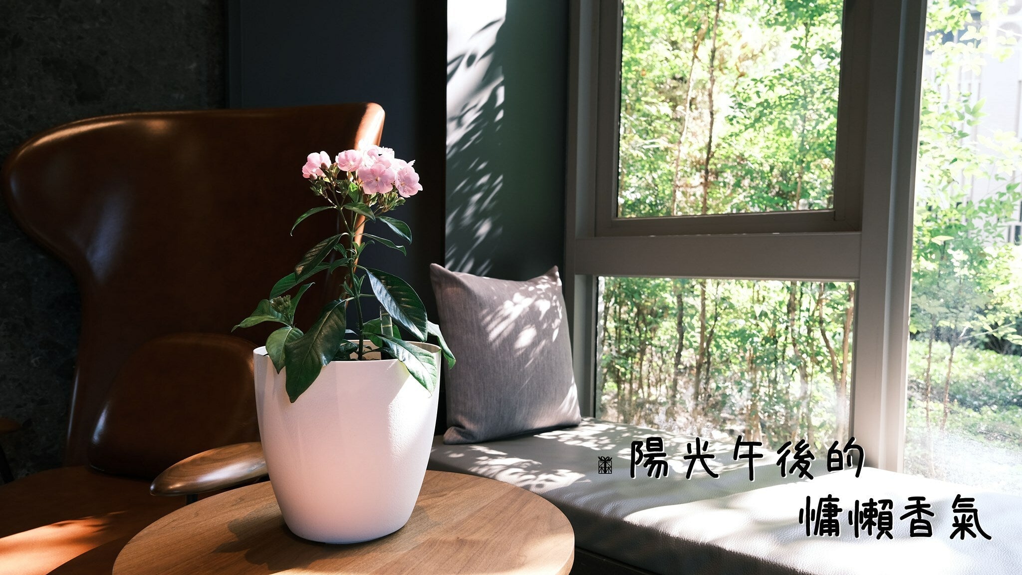 想要微風吹來就有花香嗎？滇丁香的花香真的很香