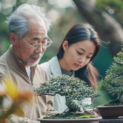 風水系列-健康長壽