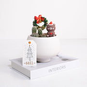 白雪森林的小抱抱 | 給你最溫暖的抱抱 | 陽光植物