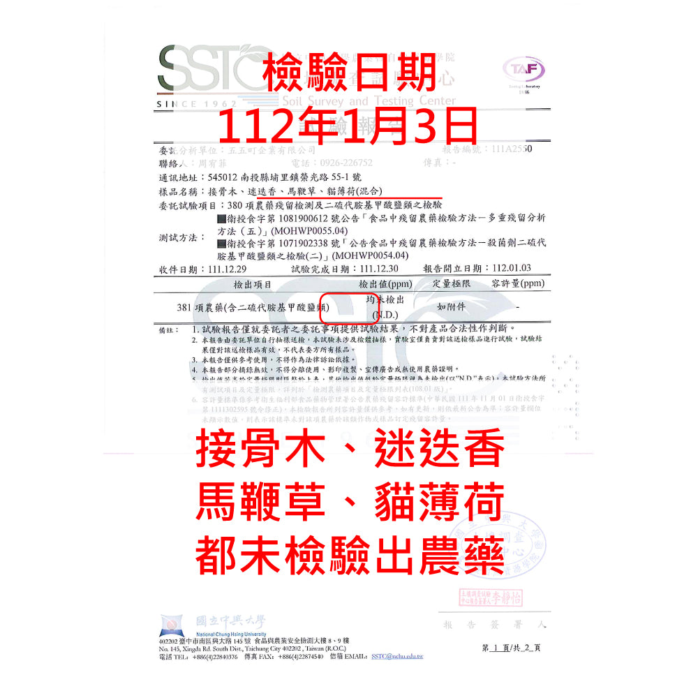 紫花貓薄荷｜貓咪最愛｜花和葉都可泡茶｜貓咪快樂草｜天然驅蟑螂｜陽光植物