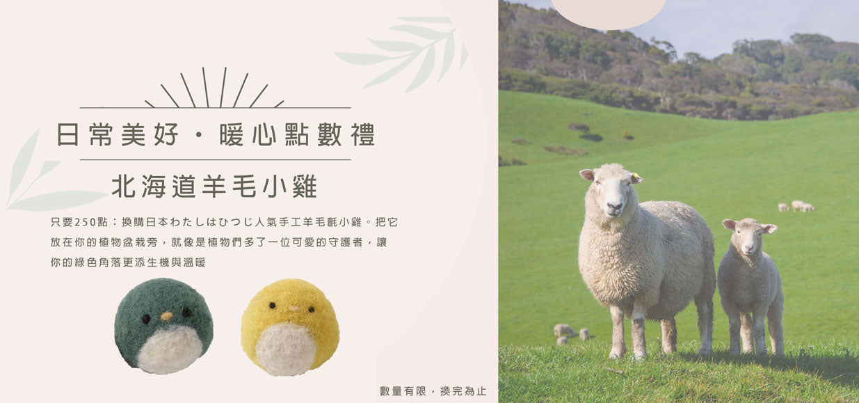 森林有塊田