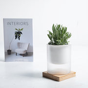 阿拉弟薰衣草｜水耕｜淨化空氣｜驅蟲神器｜陽光植物