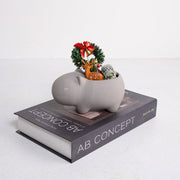 豚豚的冬日奇遇 | 交換禮物 | 陽光植物