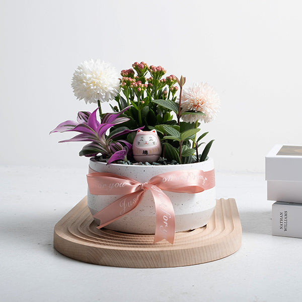 無敵幸福小花園 | 愛自己 | 可放室內 | 送禮、自用兩相宜 | 幸福植物 | 室內植物