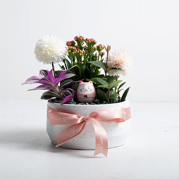 無敵幸福小花園 | 愛自己 | 可放室內 | 送禮、自用兩相宜 | 幸福植物 | 室內植物