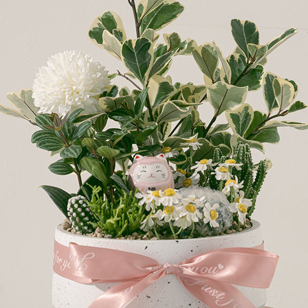 森林癒1號 | 心靈的寧靜與再生的力量 | 組合盆栽 | 室內植物